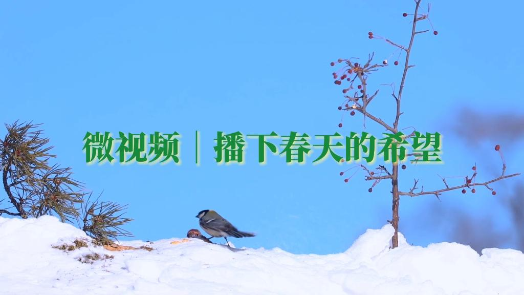 微視頻｜播下春天的希望