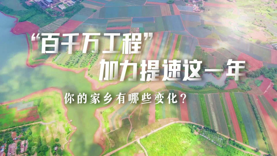 “百千萬(wàn)工程”的關(guān)鍵一年，廣東都有哪些新變化？