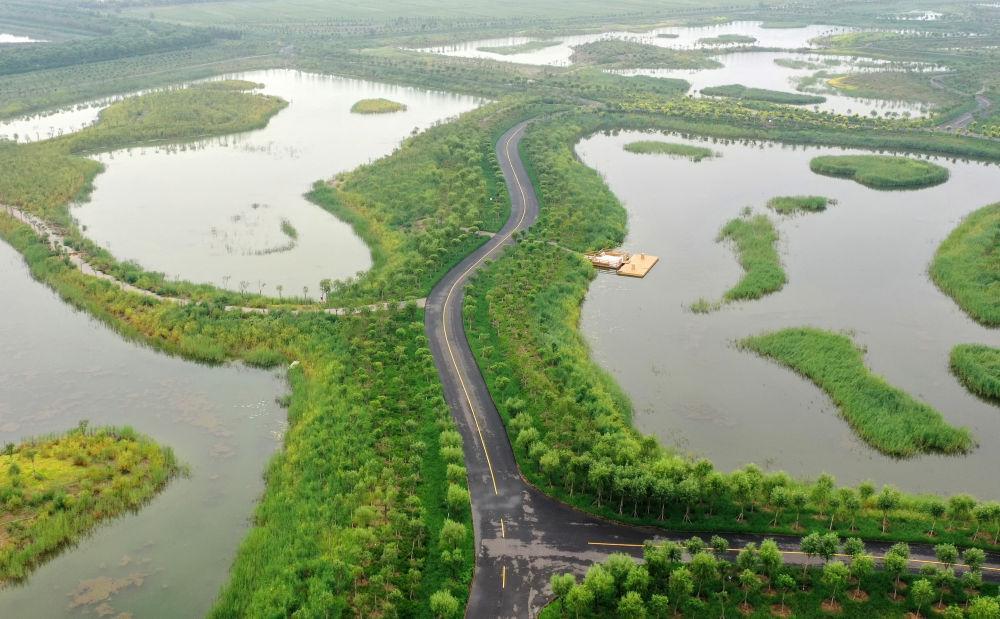 天津西青生態(tài)廊道一景（2021年8月16日攝，無人機(jī)照片）。新華社記者 李然 攝