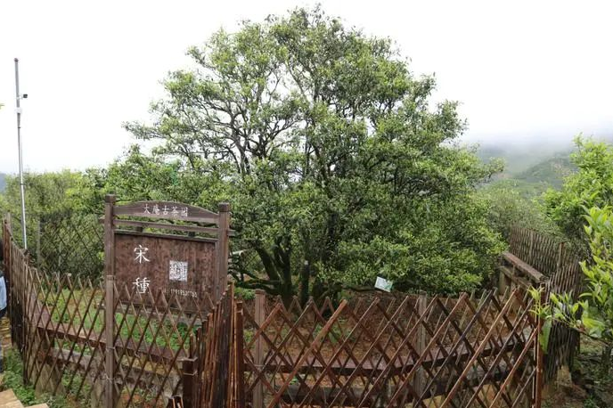 屏幕截圖 2022-04-11 142759.png