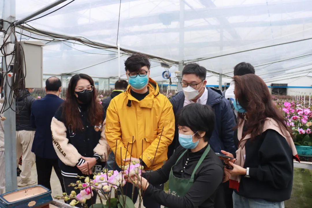 采風(fēng)團參觀四會市石狗鎮(zhèn)蘭花基地