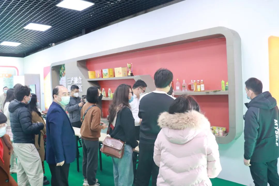 采風(fēng)團參觀四會市沙糖桔省級現(xiàn)代農(nóng)業(yè)產(chǎn)業(yè)園