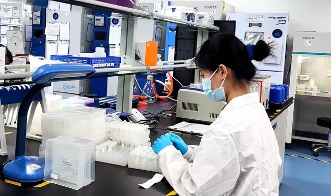 云舟生物生產(chǎn)車間內(nèi)工作人員正在制作基因載體產(chǎn)品。人民網(wǎng)記者 孫博洋攝