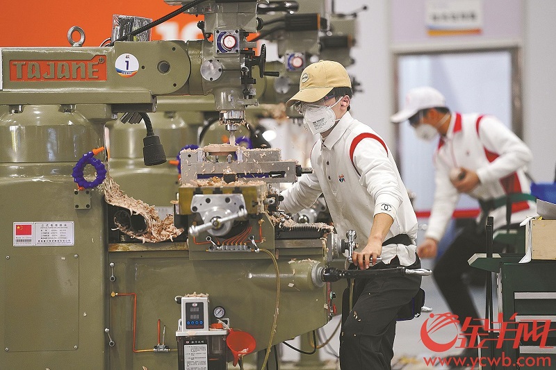 比賽既看手上功夫也拼腦力 羊城晚報全媒體記者 宋金峪 攝