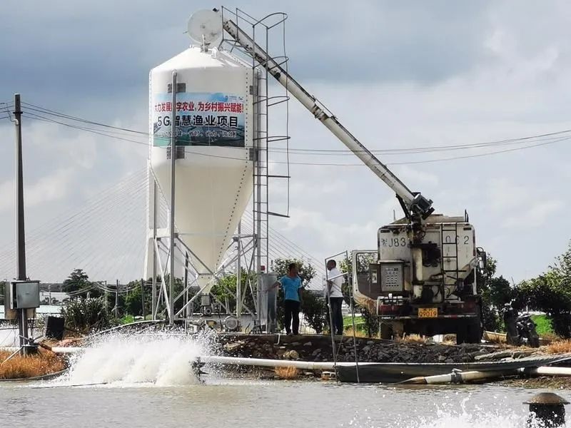 5G智慧漁業(yè)項目。通訊員供圖