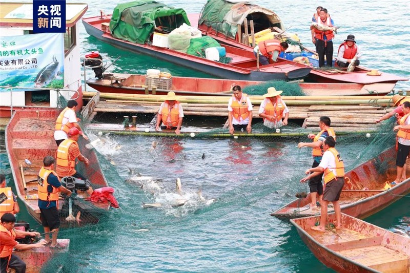 河源萬綠湖開漁
