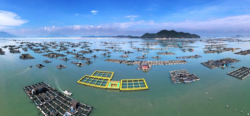 萬佳水產(chǎn)新型網(wǎng)箱