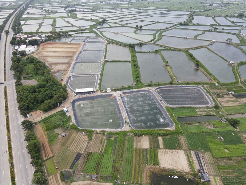 汫洲鎮(zhèn)東灶村現(xiàn)代化水產(chǎn)健康養(yǎng)殖示范基地