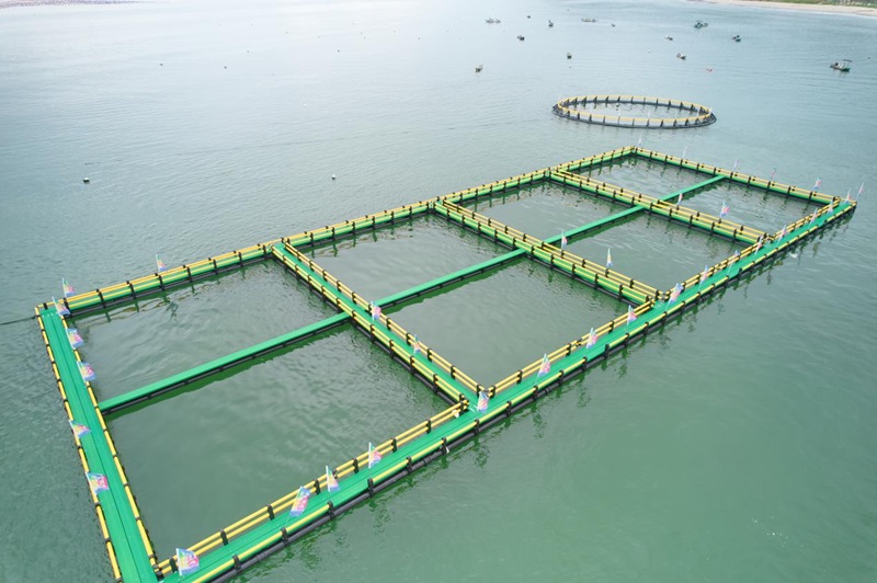 加強型重力式深水網(wǎng)箱