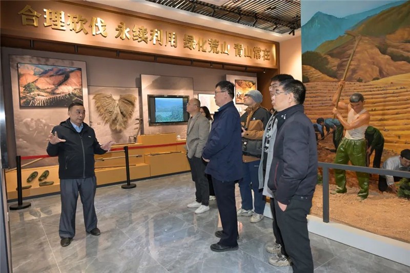 采風(fēng)團聽取工作人員講解岳山造林歷史。肇慶市融媒體中心記者 吳勇強 攝