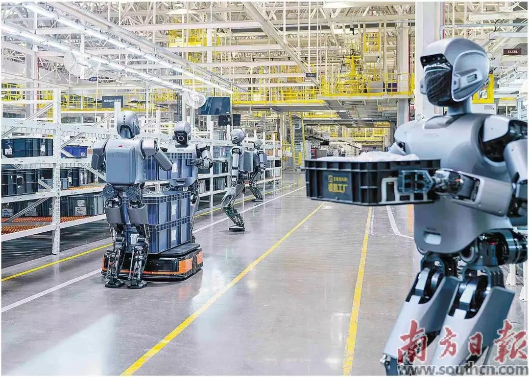 數(shù)十臺(tái)優(yōu)必選工業(yè)人形機(jī)器人Walker S1在工廠進(jìn)行協(xié)同搬運(yùn)大尺寸料箱。南方日?qǐng)?bào)記者 朱洪波 通訊員 羅艷 攝