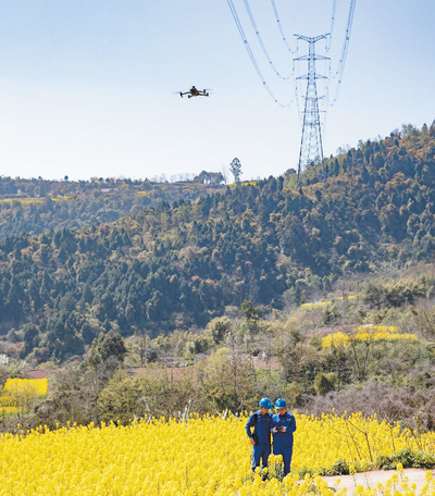 四川眉山，國家電網(wǎng)工作人員通過無人機(jī)開展輸電線路巡檢。陳紅梅攝