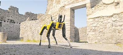  機器狗穿梭于斷壁殘垣之間執(zhí)行巡邏任務(wù)。圖片來源：世界經(jīng)濟論壇官網(wǎng)