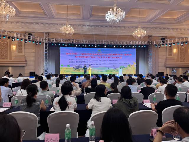 活動現(xiàn)場。  南方+ 劉宇恒 拍攝