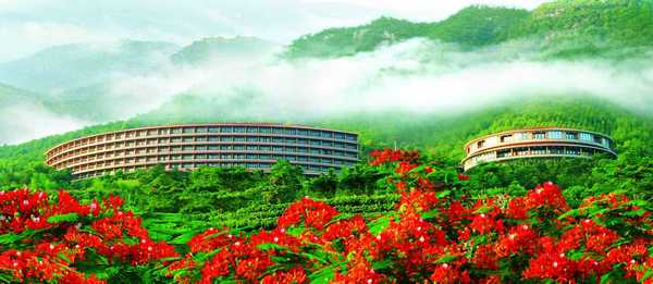 雁南飛茶田景區(qū)